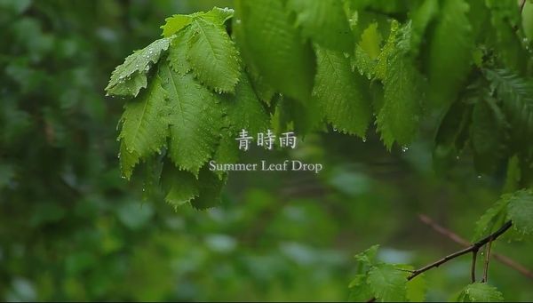 20170521151303-min_8503ac3a119d4472ba6ce1dfbc357d2b_grande