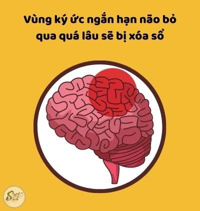 2_957aa873e4b7469a8f3dcdb6c989e4fa_grande