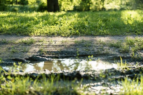 雨降って地固まる