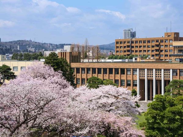 đại học tohoku