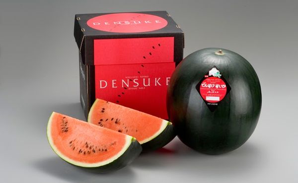 dưa hấu densuke