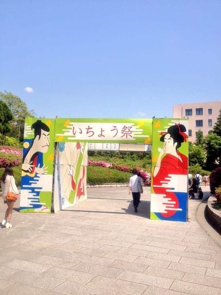 ichou matsuri