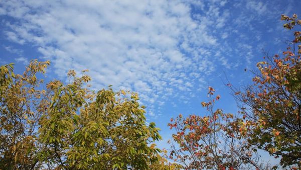 女心と秋の空