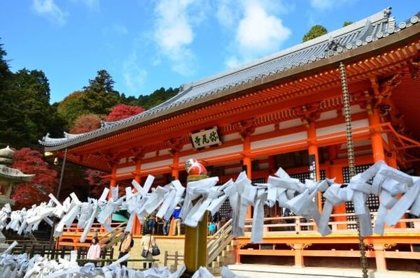 omikuji-min_db21a0d80c63446fbd635f1389a3296a_grande omikuji