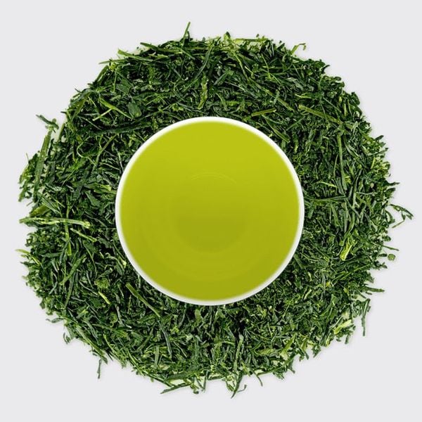 sencha