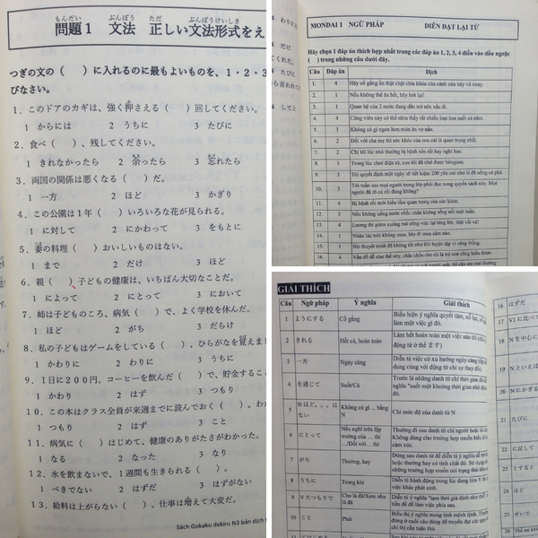 Goukaku Dekiru N3 pdf