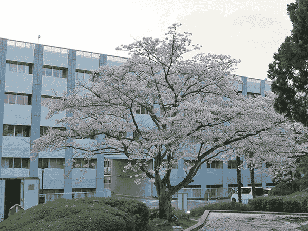 cơ sở uji đại học kyoto