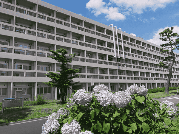 cơ sở uji đại học kyoto