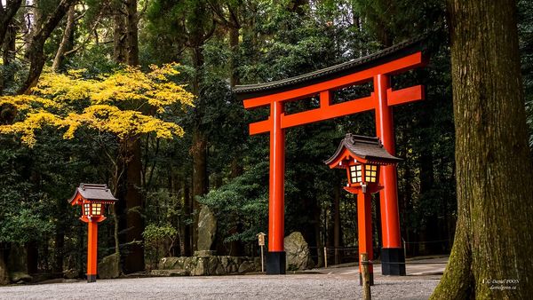 torii_2ceff552c9094ef19b117859ccfa36fb_grande cổng torii thần đạo nhật bản