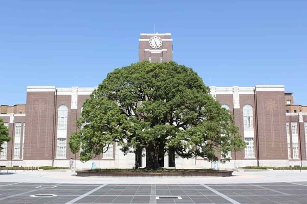 đại học kyoto