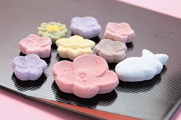 wasanbon