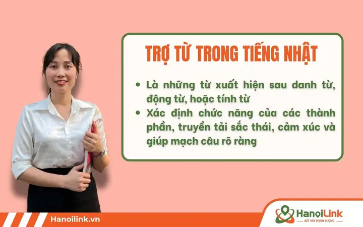 Anou Tiếng Nhật Là Gì