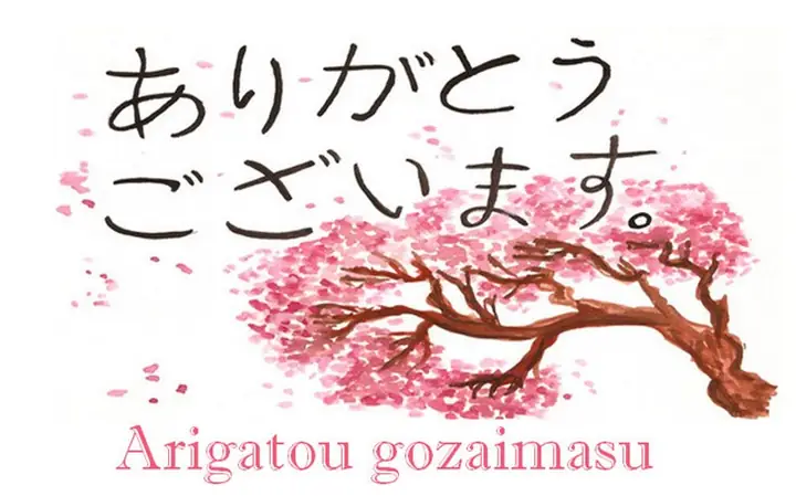 Arigato Tiếng Nhật Là Gì