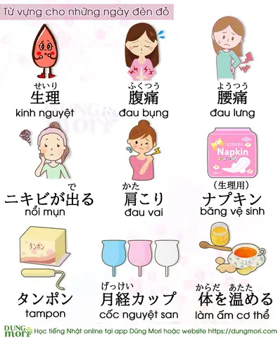 Băng Vệ Sinh Tiếng Nhật Là Gì Băng Vệ Sinh Tiếng Nhật Là Gì