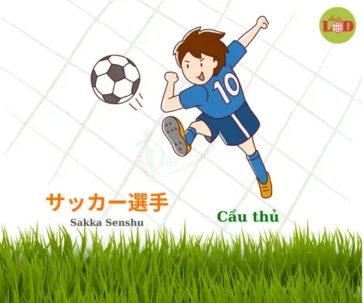Bóng Đá Tiếng Nhật Là Gì