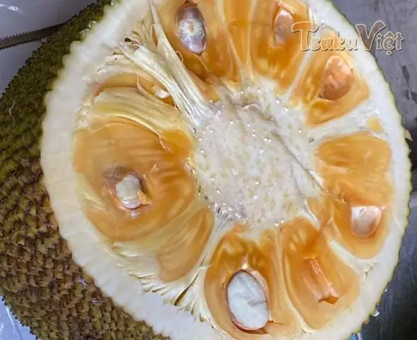 Buôn Bán Tiếng Nhật Là Gì Buôn Bán Tiếng Nhật Là Gì