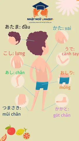 Các Bộ Tiếng Nhật