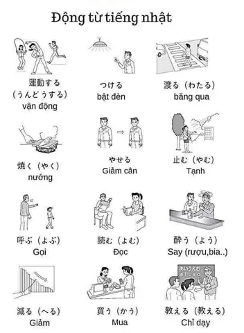 Các Động Từ Thường Dùng Trong Tiếng Nhật