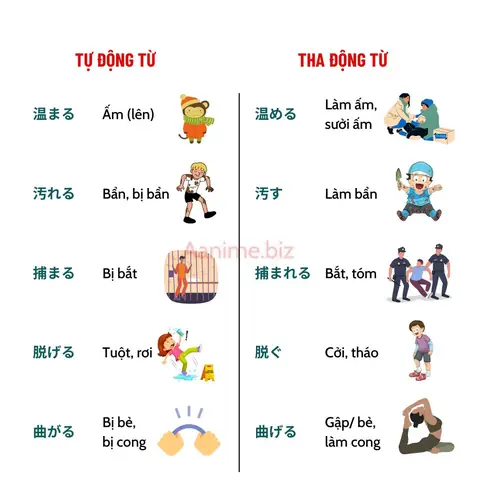 Các Động Từ Trong Tiếng Nhật