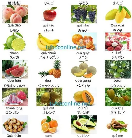 Các Loại Quả Trong Tiếng Nhật Các Loại Quả Trong Tiếng Nhật