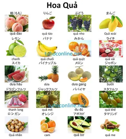 Các Loại Quả Trong Tiếng Nhật Các Loại Quả Trong Tiếng Nhật