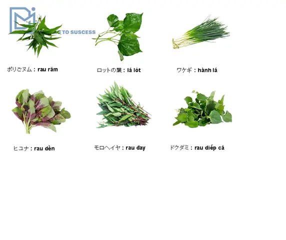 Các Loại Rau Bằng Tiếng Nhật