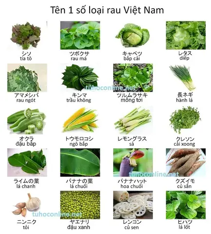 Các Loại Rau Bằng Tiếng Nhật