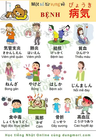 Các Loại Tiếng Nhật
