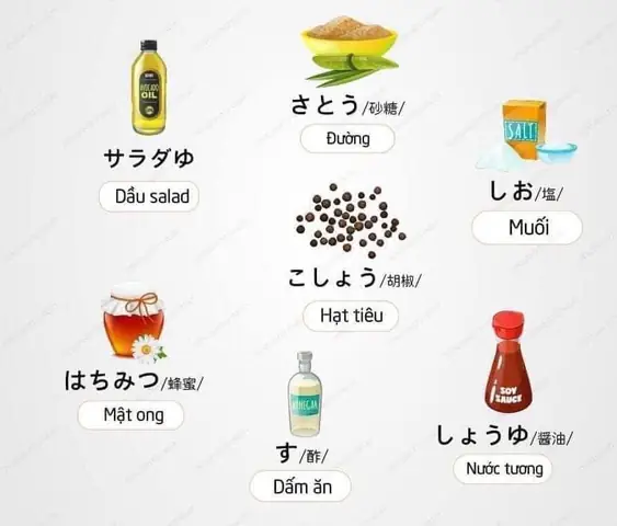Các Loại Từ Trong Tiếng Nhật