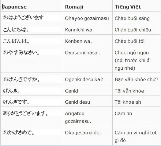 Các Mẫu Câu Hỏi Trong Tiếng Nhật