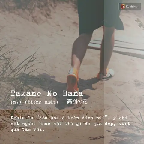 Các Từ Tiếng Nhật Ý Nghĩa
