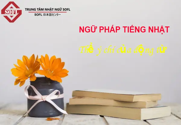 Cách Chia Thể Ý Chí Trong Tiếng Nhật