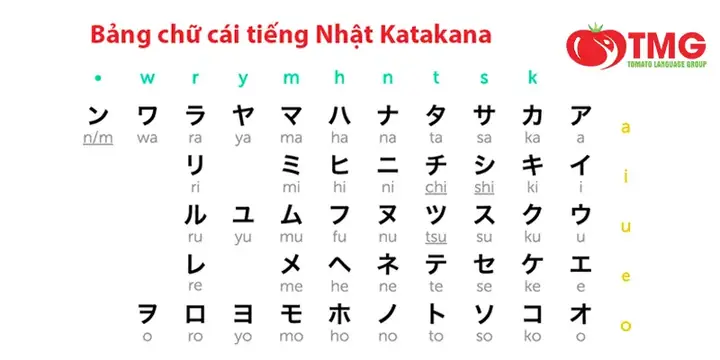 Cách Học Tiếng Nhật Hiệu Quả Cho Người Đi Làm