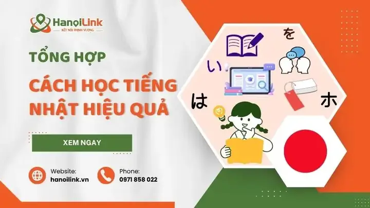 Cách Học Tiếng Nhật Hiệu Quả Cho Người Mới Học