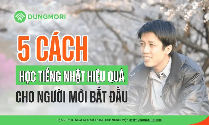 Cách Học Tiếng Nhật Hiệu Quả Cho Người Mới Học