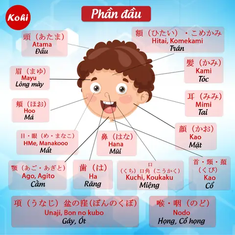 Cách Học Tiếng Nhật Nhanh Và Hiệu Quả Cách Học Tiếng Nhật Nhanh Và Hiệu Quả