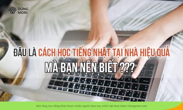 Cách Học Tiếng Nhật Tại Nhà Hiệu Quả