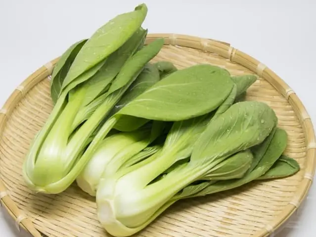 Cải Thìa Tiếng Nhật