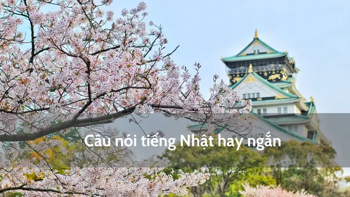Câu Tiếng Nhật Ngắn Hay