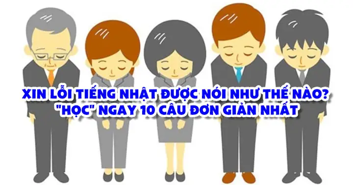 Câu Xin Lỗi Trong Tiếng Nhật