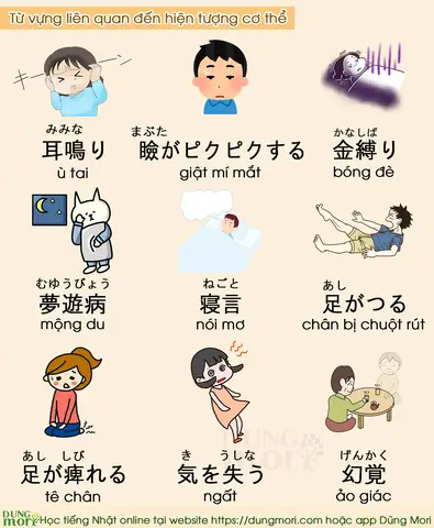 Chan Tiếng Nhật Là Gì Chan Tiếng Nhật Là Gì