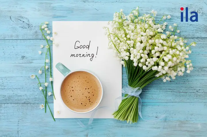 Chào Buổi Chiều Tiếng Nhật Là Gì Chào Buổi Chiều Tiếng Nhật Là Gì