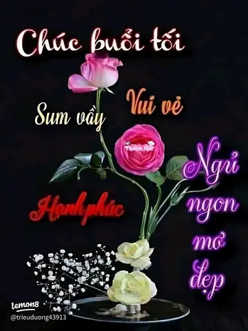Chúc Buổi Tối Tiếng Nhật