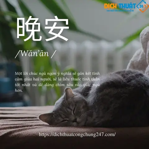 Chúc Ngủ Ngon Tiếng Nhật Phiên Âm