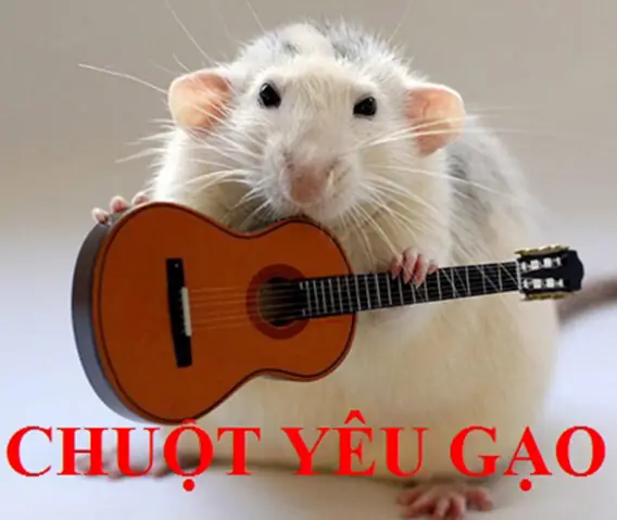 Chuột Yêu Gạo Tiếng Nhật Chuột Yêu Gạo Tiếng Nhật