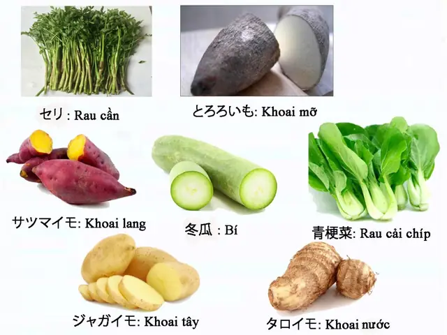Chuyên Tiếng Nhật