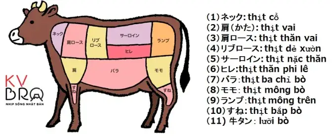 Con Bò Trong Tiếng Nhật
