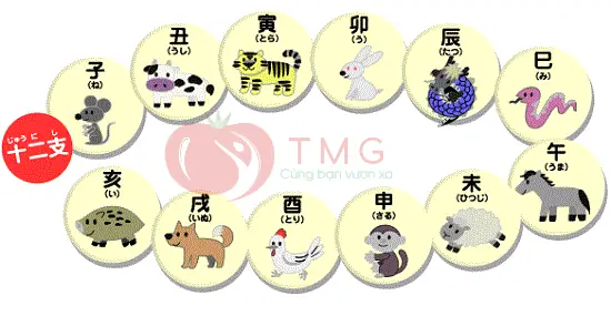 Con Chó Tiếng Nhật