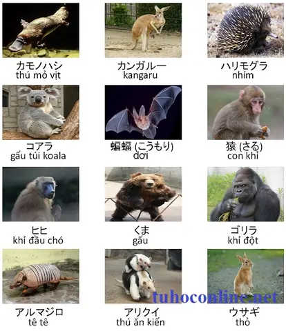 Con Dê Tiếng Nhật