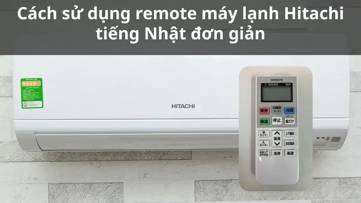Con Gián Tiếng Nhật Là Gì